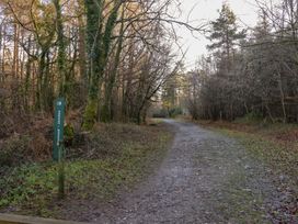 A pathway in a wooded area at The Old Telephone Exchange in Exeter