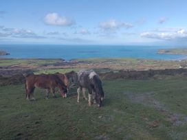 Two horses grazing on grass with a view of the sea and landscape at Ty Mor in Newport, Pembrokeshire