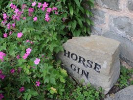 A stone with the text Horse Gin surrounded by flowers at Horse Gin in Parkend