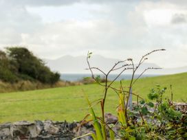 A field with grass and plants in the foreground at Getws in Ty Croes
