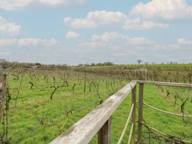 A vineyard with a wooden railing and a grassy field near Halesworth