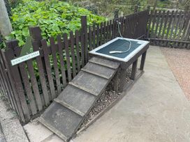 A dog wash area with a ramp and wash station at N5 Ilfracombe