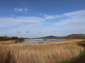 A landscape with water and reeds at Regenna in Seaton