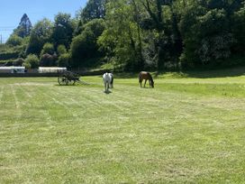 Horses grazing in a field with a wagon at Picton House near St Clears