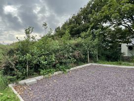 A garden area with trees and gravel at The Faithfuls Cabin in Dingle, County Kerry