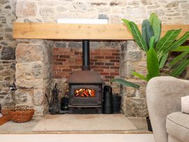 A fireplace with a wood stove and a plant in a living room at The Mill House in Newton Abbot