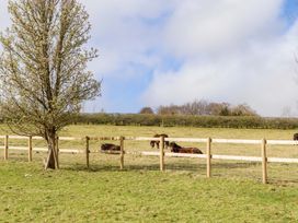 A field with horses and a tree at The Mill House in Newton Abbot