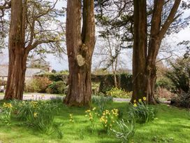 A garden with trees and daffodils at The Mill House in Newton Abbot