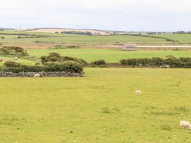 A field with sheep and a stone wall at Bodlasan Groes Cottage in Holyhead