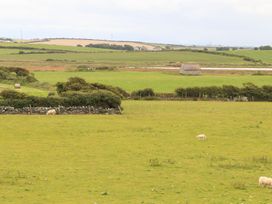 A field with sheep and a stone building at Bodlasan Groes House in Holyhead