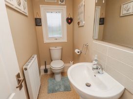 A bathroom with a toilet and sink at Lodge 134 Lon Bryn Mair near Bellech