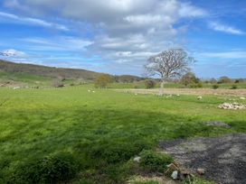 An outdoor scene with sheep and a tree at Inglewood Bach in Conwy