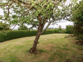 A garden with a tree and grass at Beacon House Marloes near Little Haven