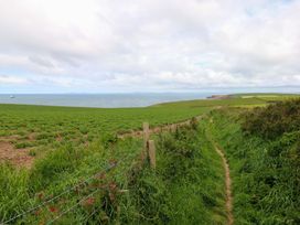 A pathway leading through a field to the ocean at Beacon House Marloes near Little Haven