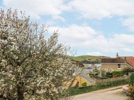 A view of houses and a tree in a rural area at Quay Sands, Hope Cove