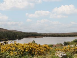 A lake with trees and yellow flowers at Hanowen House, Dungloe, County Donegal