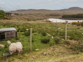 Sheep near a feeding trough in a field at Hanowen House Dungloe, County Donegal