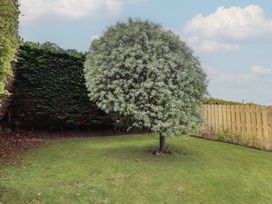 A tree in a garden at Tigh-Na-Mara Retreat