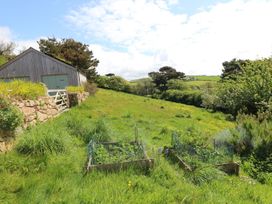 An outdoor area with a shed and garden beds at The Old Studio in Penzance