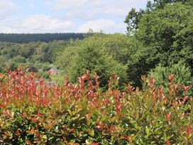 A view of plants and a house surrounded by trees at Castle Rag in Parkend