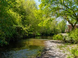 A river lined with trees and rocks at Tulip in Eardisland