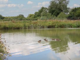 A pond with ducks swimming and greenery at Poppy in Eardisland