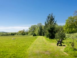 A path with a bench and dog in a grassy area at Poppy Eardisland