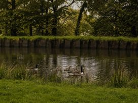Ducks swimming in a pond surrounded by grass and trees at The Summerhouse in Kildwick