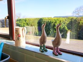 A kitchen with a jug and decorative ducks on a windowsill at Thadg and Hannah’s Miltown