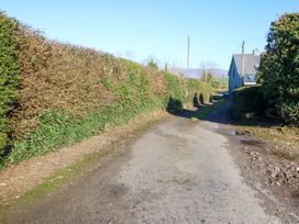 A rural road with hedges and a house at Thadg and Hannah’s in Miltown