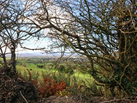 A view through trees over a green landscape at Thadg and Hannah’s in Miltown