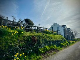 A house with a fence and daffodils on a hill near Penpegws near Aberystwyth