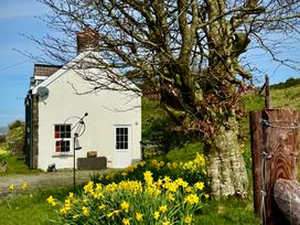 A house surrounded by flowers and a tree at Penpegws near Aberystwyth