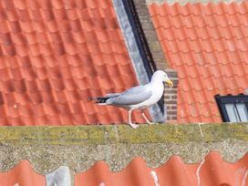 A seagull on a rooftop at The Four Views in Whitby
