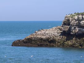 A rocky coastline with birds near the water at Too Hoots in Lligwy