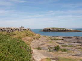 A rocky shore with grass and flowers near the sea at Too Hoots Lligwy