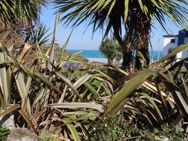A view of palm trees and the sea at Sea View in Newquay
