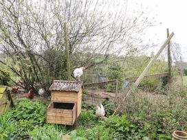 A garden with chickens and a chicken coop at The Annexe at Cherry Cottage Upton St Leonards
