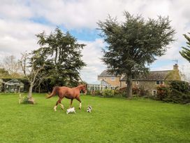 A horse and dogs playing in a garden at The Annexe at Cherry Cottage Upton St Leonards