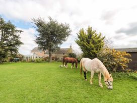 Two horses grazing in a garden with a dog at The Annexe at Cherry Cottage Upton St Leonards