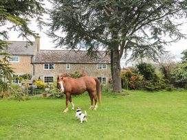 A horse and dog in a garden at The Annexe at Cherry Cottage Upton St Leonards