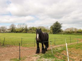 A horse standing in a field at The Annexe at Cherry Cottage Upton St Leonards