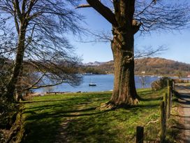 A view of a lake with a tree and a path at Wilders Wood in Windermere