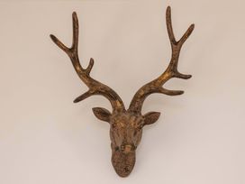 A deer head wall decor with antlers