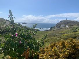A coastal view with flowers and houses at Cape View in Cape Cornwall near St Just