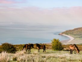 Horses grazing near the ocean at West Down Country House in South Molton