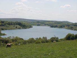 A view of a lake with sheep grazing in the foreground at West Down Country House in South Molton