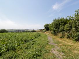 A path leading through a field with bushes and hills at Daisy Shepherd's Hut in South Molton