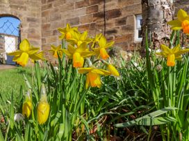 A garden with yellow daffodils at Holly Cottage in Whitby