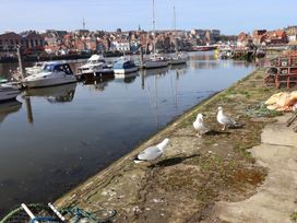 A view of boats and seagulls by the water at Marina House in Whitby